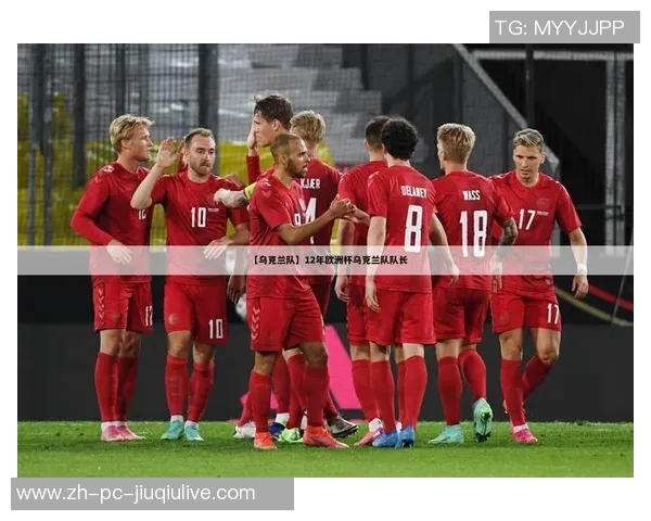 乌克兰与法国足球对决分析：战术布局与球员表现全解析